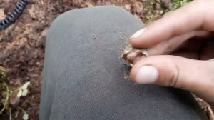 Перстень мертвая голова НЕОЖИДАННО !Интересный выезд # 8 ! 2019 года!!