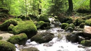 лучшии ичудесные песни кавказа