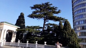 Ялта. Гостиница "Крымская Ницца". Наш уикенд.