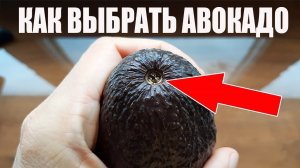 Как Выбрать Авокадо, как чистить и как есть + Рецепты с Авокадо