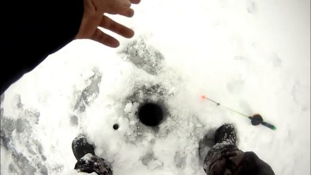 Крупный БЕРШ на тюльку. База KAMA-N-DOOR ( 16.12.2022г.) смотреть онлайн