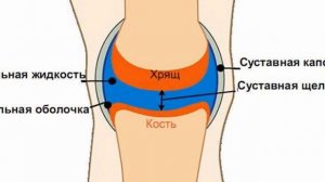 Почему мы хрустим или щёлкаем пальцами?