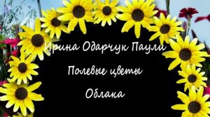 Ирина Одарчук Паули Полевые цветы, Облака стихи читает автор