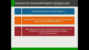 ОБМЕН ЛИПИДОВ - часть 7 - Просто о сложном - Химия