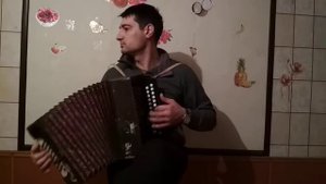 Гармонь - Не женюсь