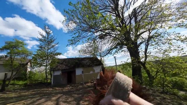 Конная прогулка во дворе || тест DJI Action 2