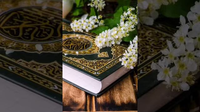 От чего просил защиты. ПРОРОК Мухаммад с.а.с у Аллаха смотреть онлайн