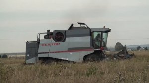 Уборка урожая 2012.Комбайн Вектор 410