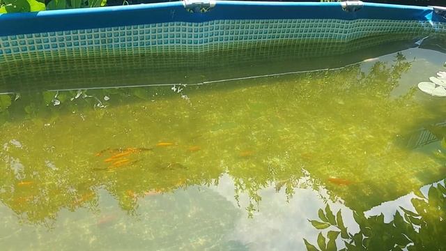 8 июля 2022 г. смотреть онлайн