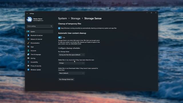Empty Recycle Bin/Downloads Daily/Weekly Guide | Windows 10/11 Storage Sense смотреть онлайн