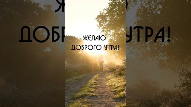 Ролик с пожеланиями доброго утра | SunPikRu