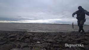 Ловля верхогляда на резинку // рыбалка на амуре.