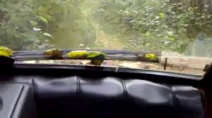 Болотоход ОКА. Луноходов.Нет