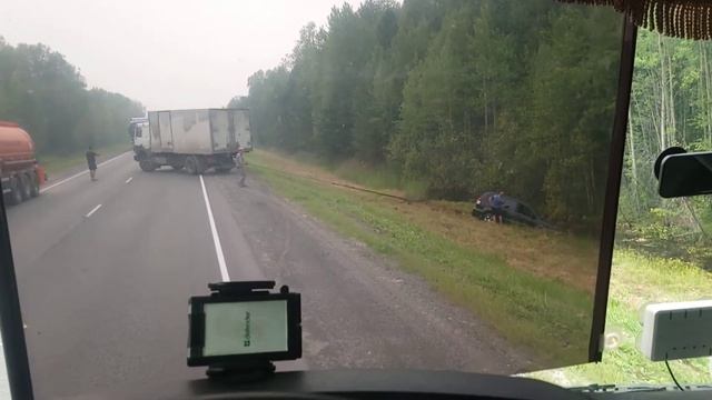 тянем из болота бегемота. крузак в болоте смотреть онлайн