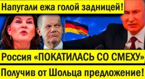 Напугали ежа голой задницей! Россия «ПОКАТИЛАСЬ СО СМЕХУ», получив от Шольца предложение!