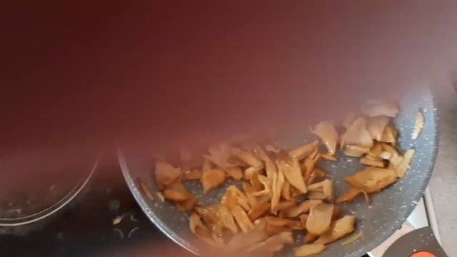 Вешенка легочная.