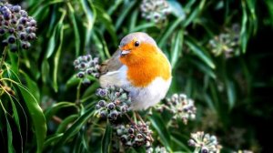 Невероятно Красивая Музыка Вадима Гурьева