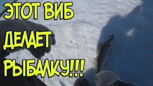 Судак на вибы со льда .mp4