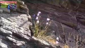 1 класс Обобщающий урок Музыка и ты