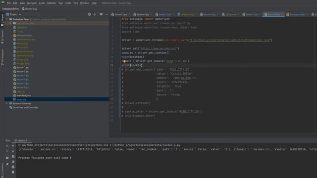 Selenium python. Урок 6. На примере рассматриваем cookies в Firefox и chrome