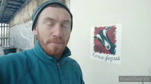 МАСТИТ и ОТЁК КОРОВЫ. ПОМОГЛА НОВОКАИНОВАЯ БЛОКАДА