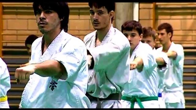 Euro Kyokushin Tournament 2012 Zaragoza смотреть онлайн