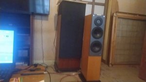 Audiovector - акустика Hi-End класса