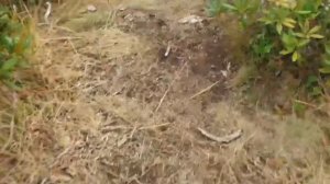 ПВД Медовеевка-Ачишхо  нестандартный маршрут 15.10.22 турклуб "Серпантин"