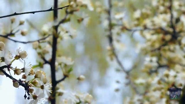 "Два абсолютно разных человека"