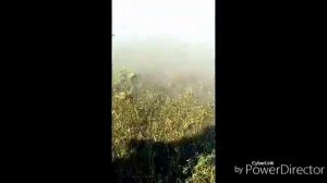 Ловля сазана на донку 2017