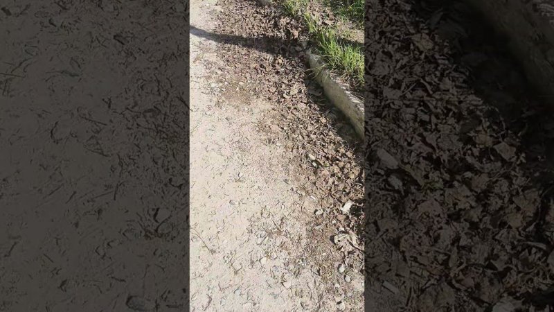 КАК НЕ УБИРАЮТСЯ НА ПЛЯЖЕ ЮНОСТЬ #старыйоскол #пляж #пляжныйотдых