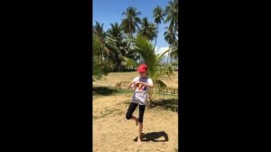 Пумсе 4 тхэквондо - Тэгук Са Джан / аттестация на синий пояс.