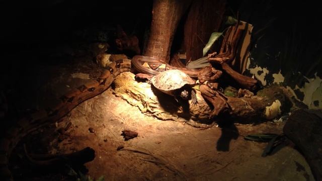 Aquatopia - Part 3 смотреть онлайн