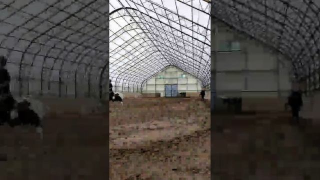 Манеж заполняется. Нас стало больше