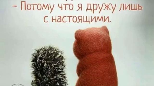 Медвежонок спросил ёжик почему у тебя мало друзей?А ёжик ответил потому что я дружу только с настоя смотреть онлайн