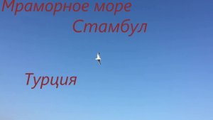 Мраморное море/ Стамбул/ Турция