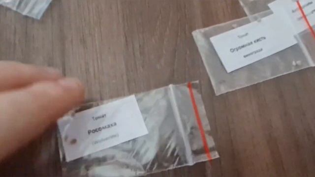 Редкие и коллекционные сорта томатов! Семенной материал: антоциановые, биколоры, зеленые, белые. смотреть онлайн