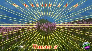 Ваше Число Удачи по Дате Рождения!