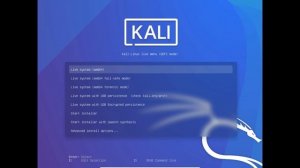 Steps to create a Bootable Kali Live USB Persistence