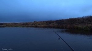 ЭТА СНАСТЬ ловит щуку на ЖИВЦА! Рыбалка на щуку! Местный МОНСТР!