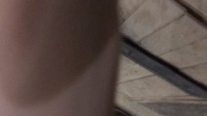 Ремонт бензопилы Лесник 3816