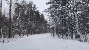 Питер. Снег. На летней резине