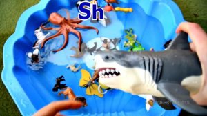 Learn Wild Zoo Animals and Sea Animals For Kids with Shark Toys