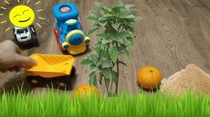 ухал трактор по полям, сборник серий игруныч непоседа