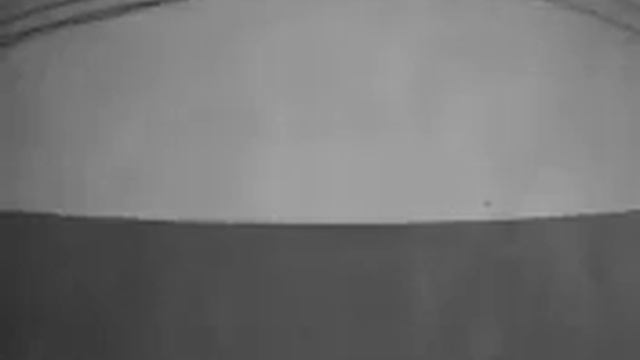 10 апреля 2023 г. твари пока нет . тишина чаще всего . смотреть онлайн