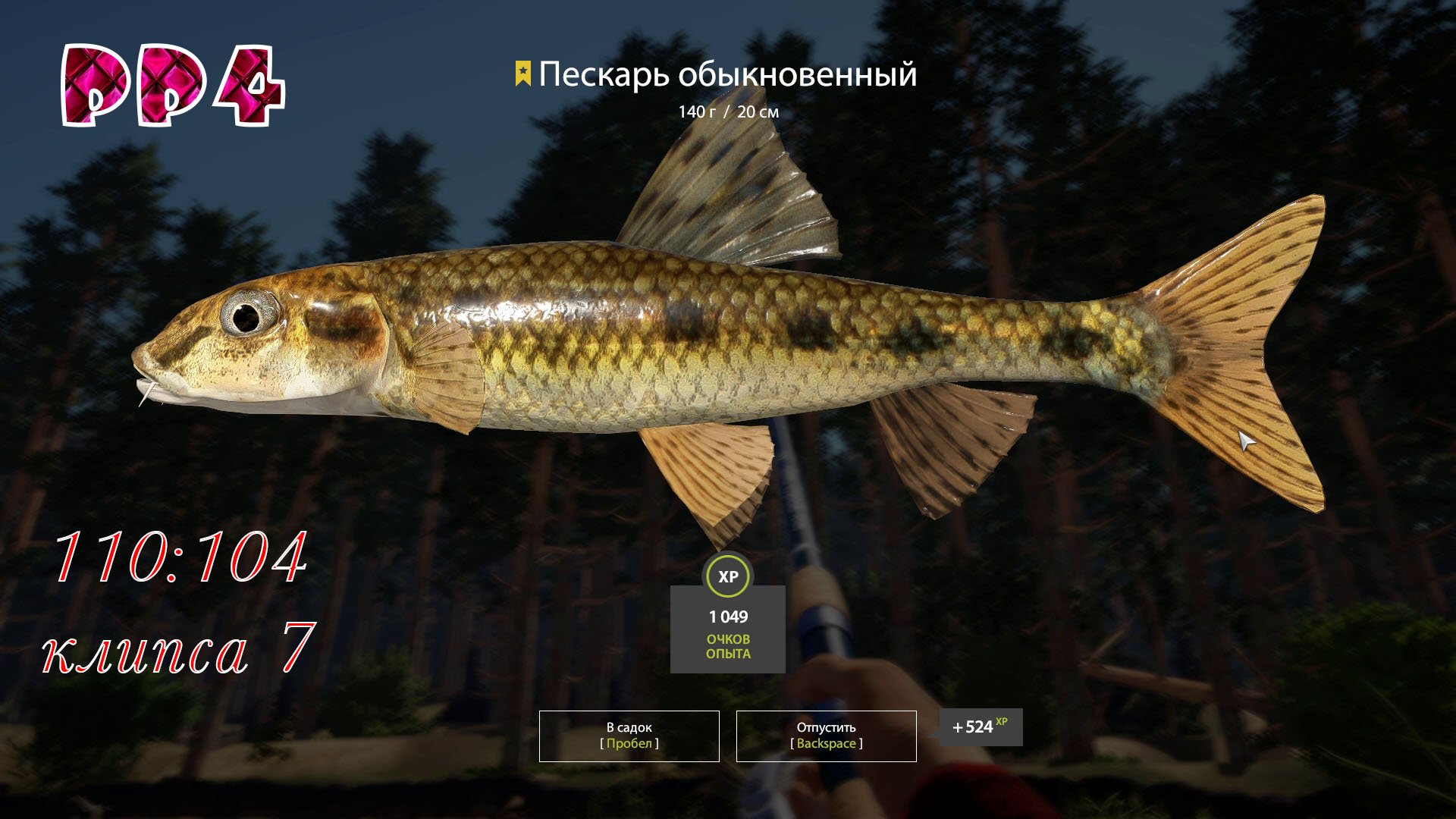Ерш носарь