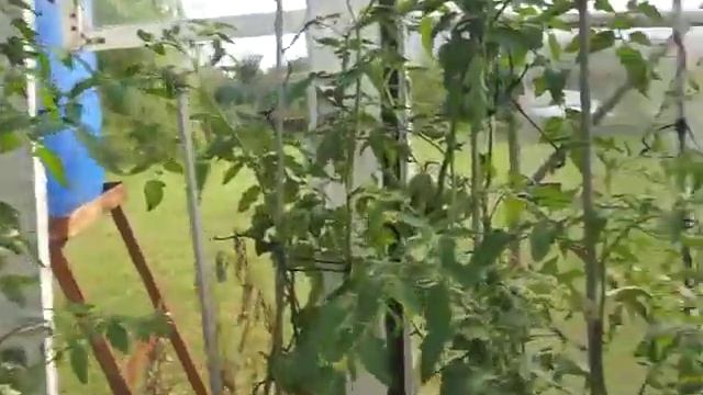 Дача 13 соток - часть 2 смотреть онлайн