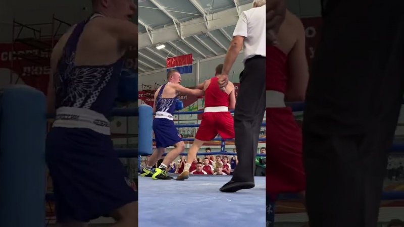 #shorts #boxing