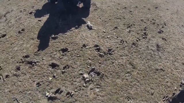 Димитрово смотреть онлайн