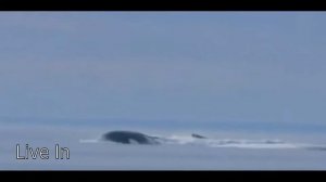 экстренное всплытие подводных лодок